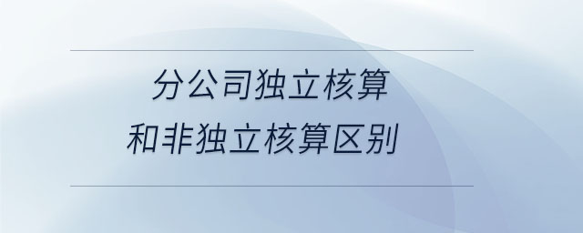 分公司獨(dú)立核算和非獨(dú)立核算區(qū)別