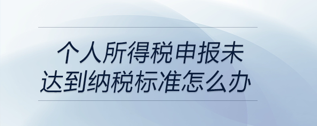 個(gè)人所得稅申報(bào)未達(dá)到納稅標(biāo)準(zhǔn)怎么辦