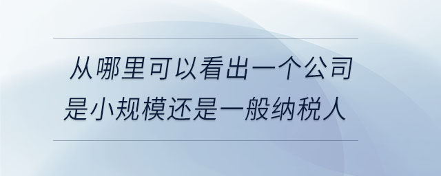 從哪里可以看出一個(gè)公司是小規(guī)模還是一般納稅人