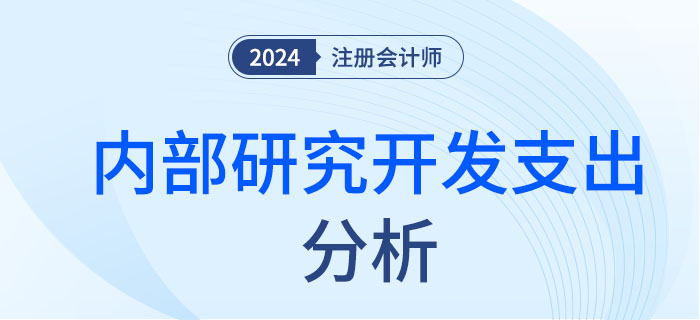 內(nèi)部研究開發(fā)-大
