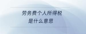 勞務(wù)費(fèi)個人所得稅是什么意思