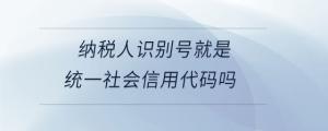 納稅人識別號就是統(tǒng)一社會信用代碼嗎