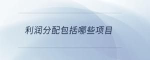 利潤分配包括哪些項(xiàng)目