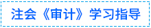 01審計學習指導(dǎo)