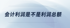 會(huì)計(jì)利潤(rùn)是不是利潤(rùn)總額
