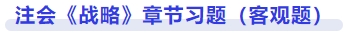 戰(zhàn)略章節(jié)習(xí)題
