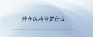 營業(yè)執(zhí)照號(hào)是什么