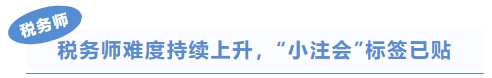 稅務(wù)師標(biāo)題