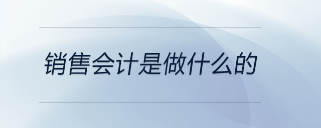 銷售會(huì)計(jì)是做什么的