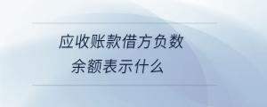 應(yīng)收賬款借方負數(shù)余額表示什么