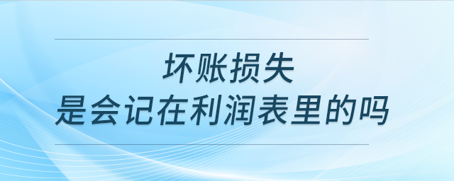 壞賬損失是會記在利潤表里的嗎