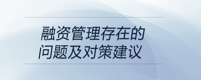 融資管理存在的問題及對策建議