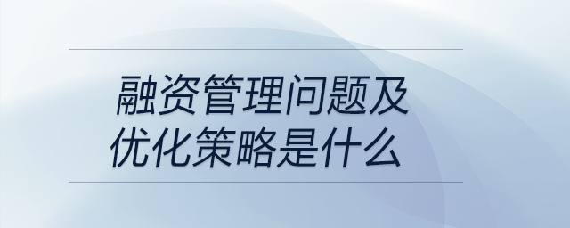 融資管理問(wèn)題及優(yōu)化策略是什么