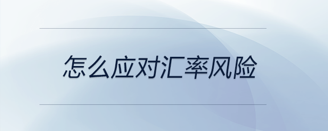 怎么應(yīng)對匯率風(fēng)險(xiǎn)