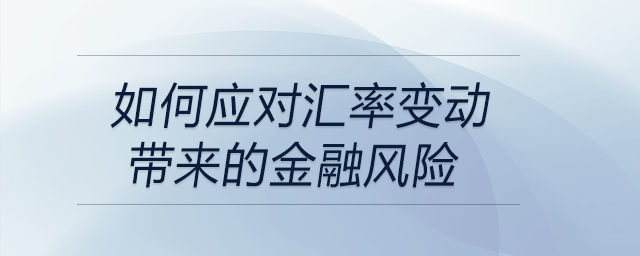 如何應(yīng)對匯率變動帶來的金融風(fēng)險