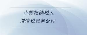 小規(guī)模納稅人增值稅賬務處理
