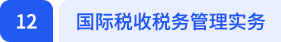 國(guó)際稅收稅務(wù)管理實(shí)務(wù)