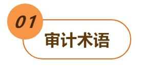 01審計(jì)術(shù)語