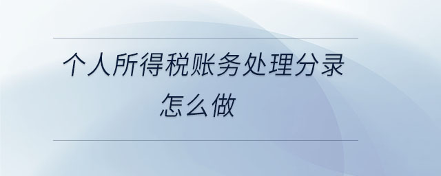 個人所得稅賬務處理分錄怎么做