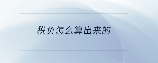 稅負(fù)怎么算出來(lái)的