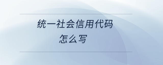 統(tǒng)一社會(huì)信用代碼怎么寫