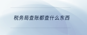 稅務(wù)局查賬都查什么東西