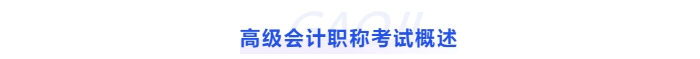 高級(jí)會(huì)計(jì)職稱(chēng)考試概述