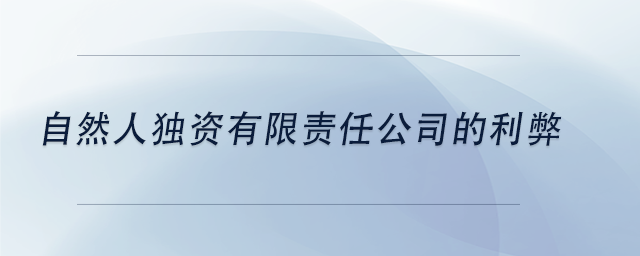中級(jí)會(huì)計(jì)自然人獨(dú)資有限責(zé)任公司的利弊