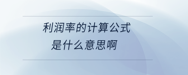 利潤(rùn)率的計(jì)算公式是什么意思啊