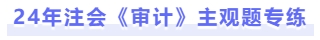 24年審計(jì)主觀題專練
