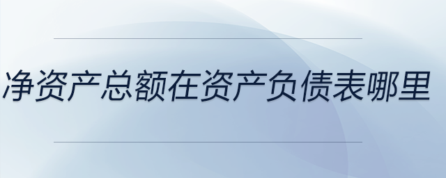 凈資產(chǎn)總額在資產(chǎn)負(fù)債表哪里