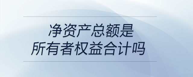 凈資產(chǎn)總額是所有者權益合計嗎