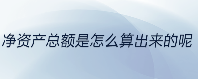 凈資產(chǎn)總額是怎么算出來(lái)的呢