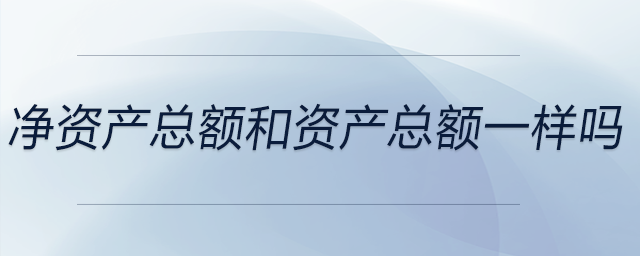 凈資產(chǎn)總額和資產(chǎn)總額一樣嗎