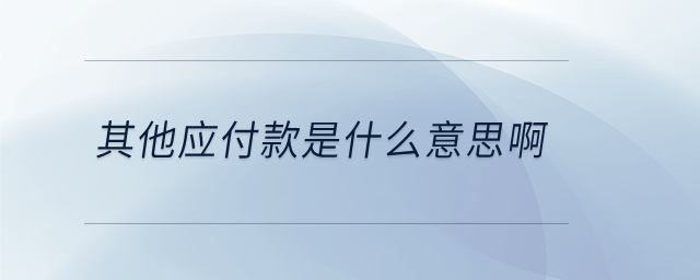 其他應付款是什么意思啊