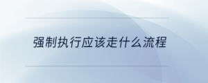 強制執(zhí)行應(yīng)該走什么流程