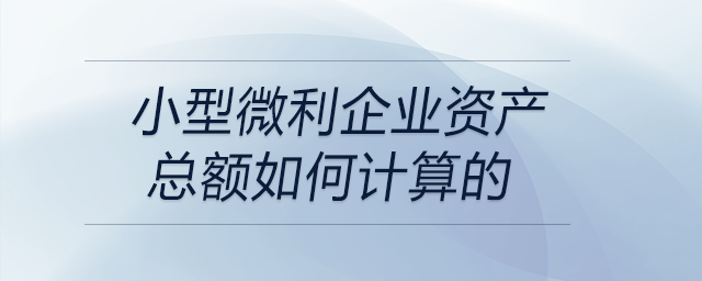 小型微利企業(yè)資產(chǎn)總額如何計算的