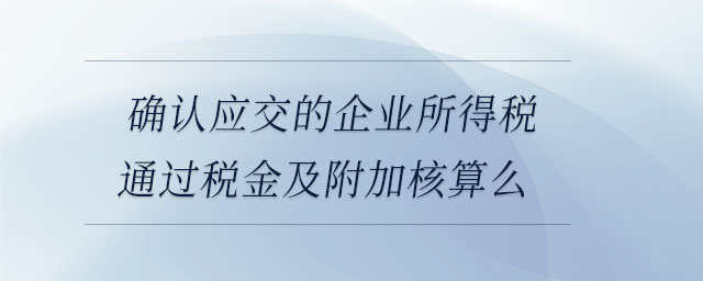 確認(rèn)應(yīng)交的企業(yè)所得稅通過稅金及附加核算么