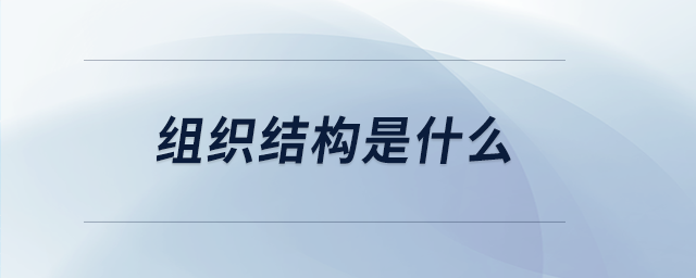 組織結構是什么