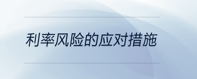 利率風(fēng)險(xiǎn)的應(yīng)對(duì)措施