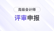 2025年高級(jí)會(huì)計(jì)師各地區(qū)評(píng)審政策及時(shí)間匯總