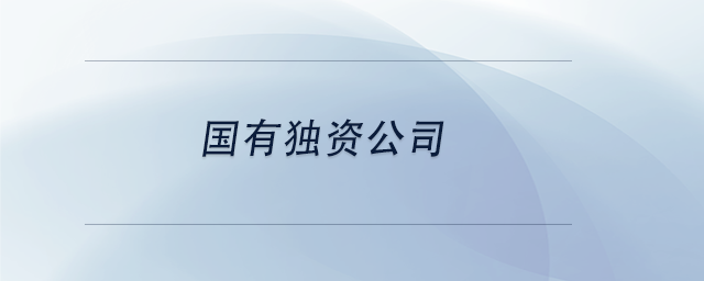 中級會計國有獨資公司