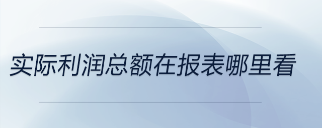 實際利潤總額在報表哪里看