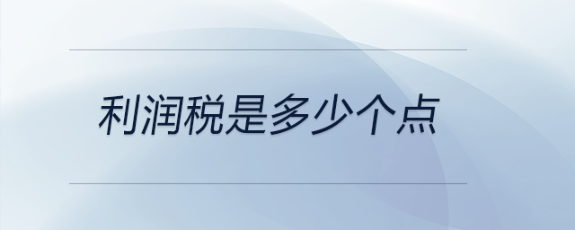 利潤稅是多少個(gè)點(diǎn)