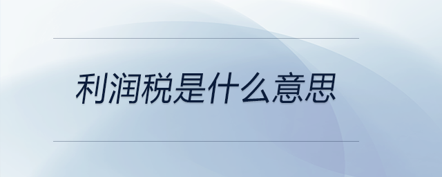 利潤(rùn)稅是什么意思