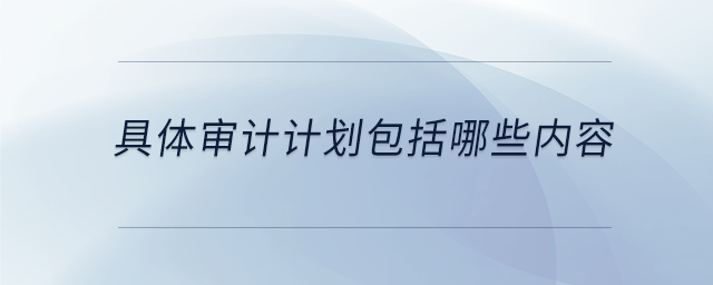 具體審計計劃包括哪些內(nèi)容