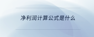 凈利潤計(jì)算公式是什么