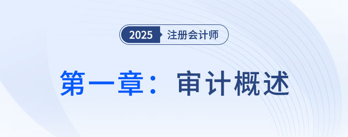 第一章審計概述_2025年注會審計搶學記憶樹
