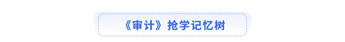 注冊會計師審計搶學(xué)記憶樹