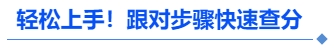 中級會計(jì)輕松上手，跟對步驟快速查分